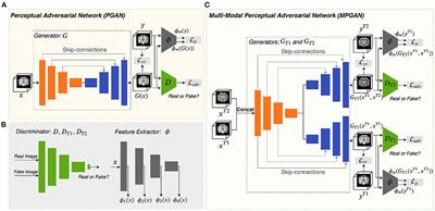 Longitudinal Prediction of Infant MR Images With Multi-Contrast Perceptual Adversarial Learning